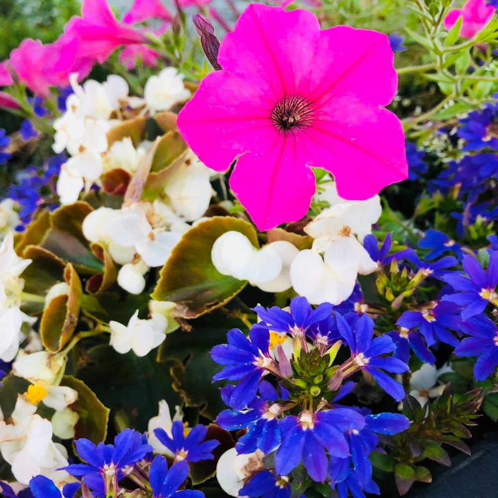 Meet your Posher, Tiffany